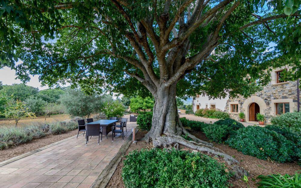 Mas Duc Konuk evi Brunyola Dış mekan fotoğraf